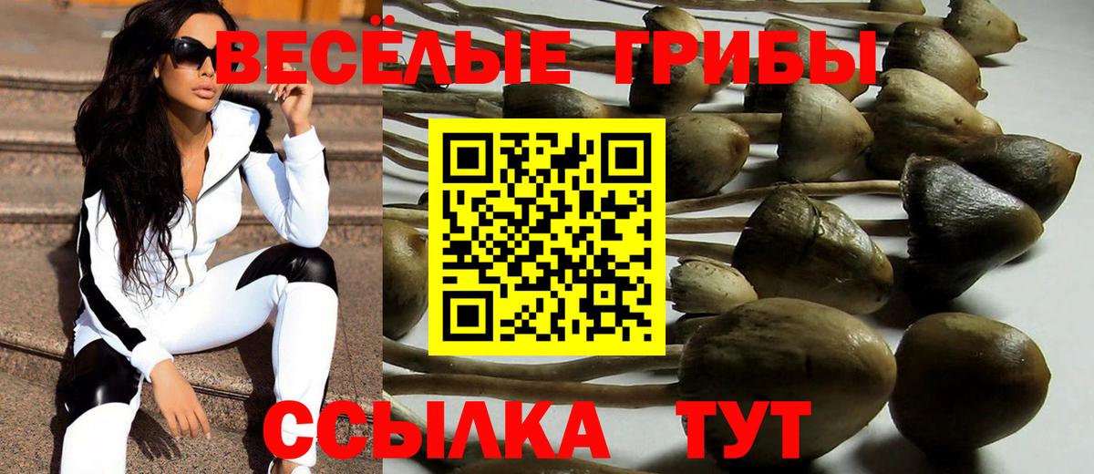 цены   Вход с VPN  Муравленко  Псилоцибиновые грибы прущие грибы  Галлюциногенные грибы мицелий 