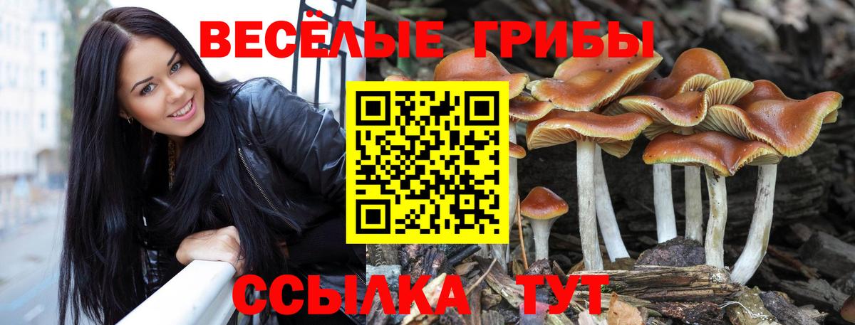 Галлюциногенные грибы прущие грибы Муравленко